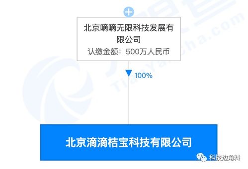 滴滴成立桔宝科技公司,经营范围含职业中介活动